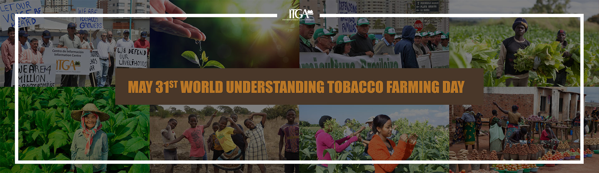 Banner 31St World Understanding Tobacco Farming Day