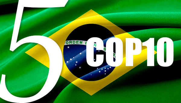 Brazilcop10iposition