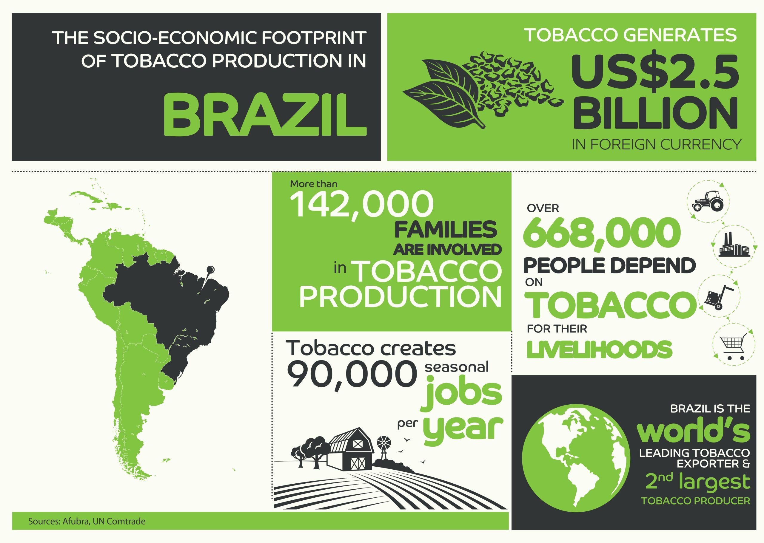 Brazilian Socioeconomic Impact